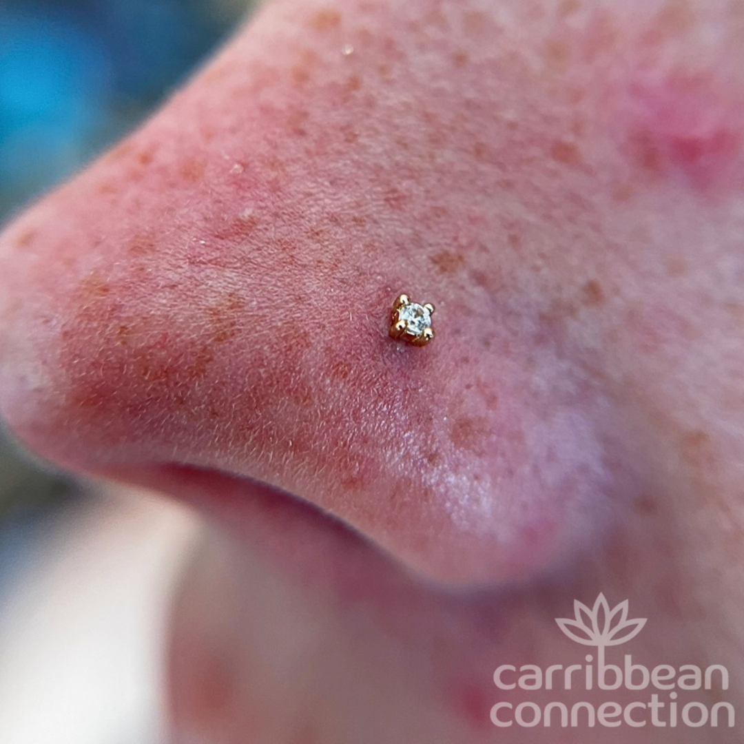 Nostril Piercing at Carribbean Connection in Jacksonville Beach, FL