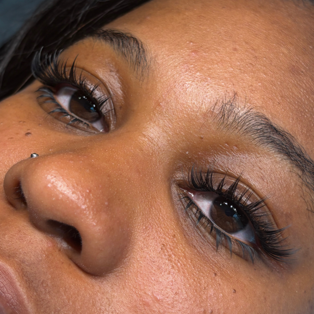 1:1 Hands On Lash Cluster Class at Evolmani Aesthetics in Chicago, IL
