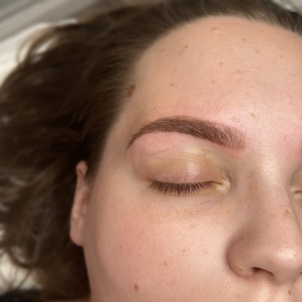 Brow Tint Only
