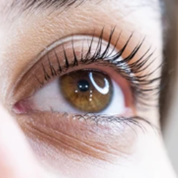 Lash Lift With Tint at KMS Beauty Studio in Wilmington, MA