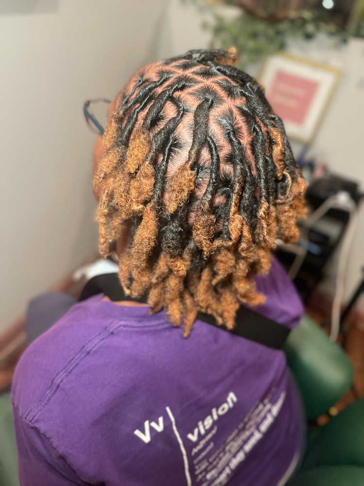 Medium Starter Locs
