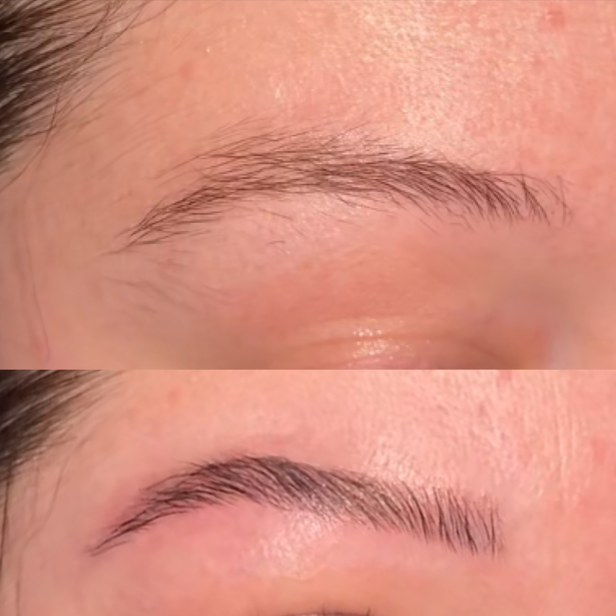 Brow Lamination + Brow Tint at Garden Esthetics in Antioch, CA