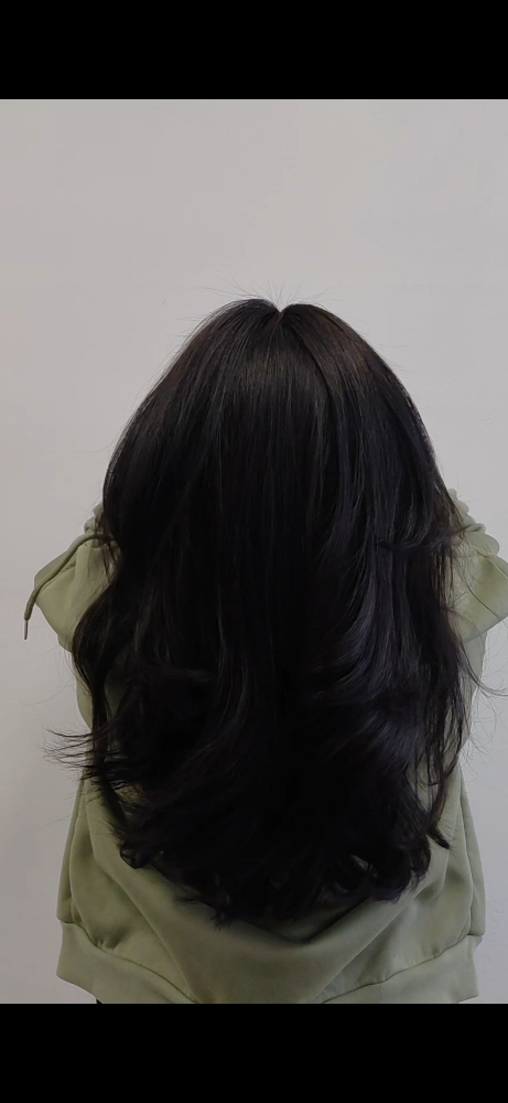 Haircut (no wash or style)