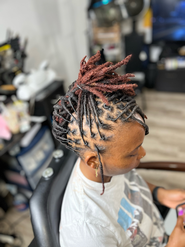 Loc Style / No Retwist