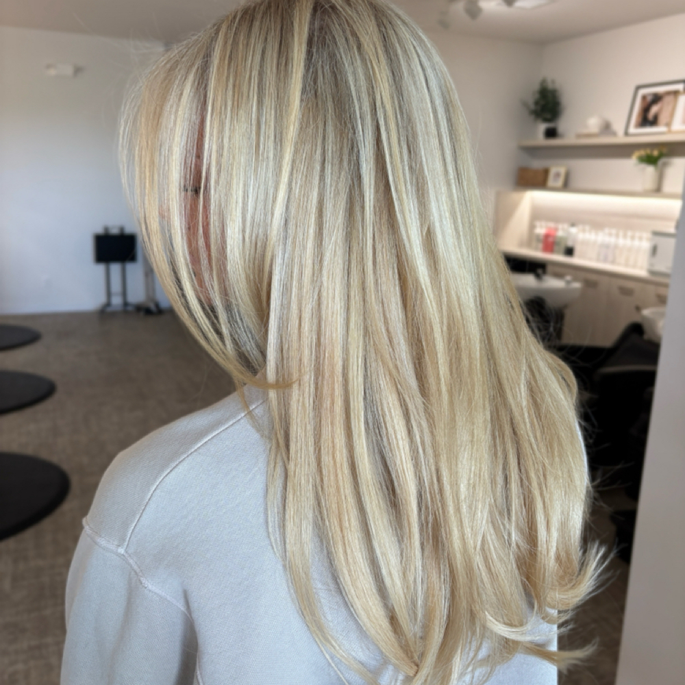 Haircut Full Foil at Cedar Rose Salon and Suites in Byron Center, MI