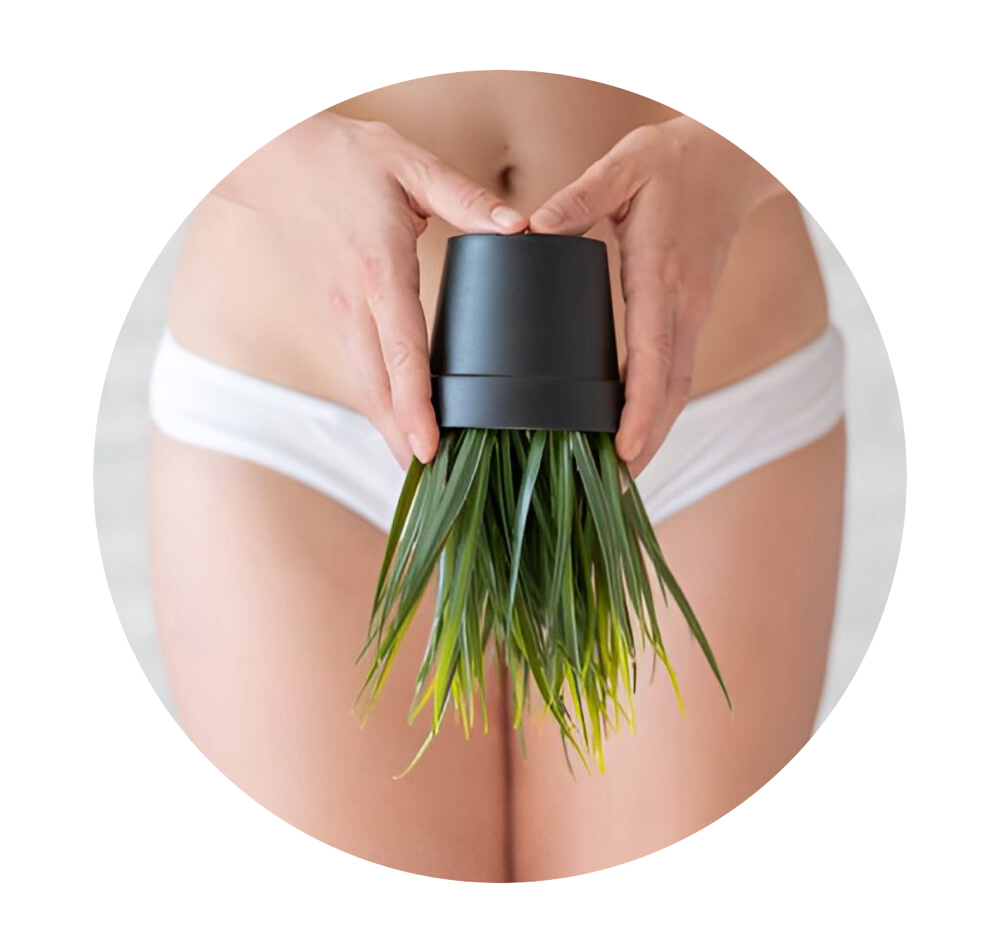 PROMO Brazilian Wax