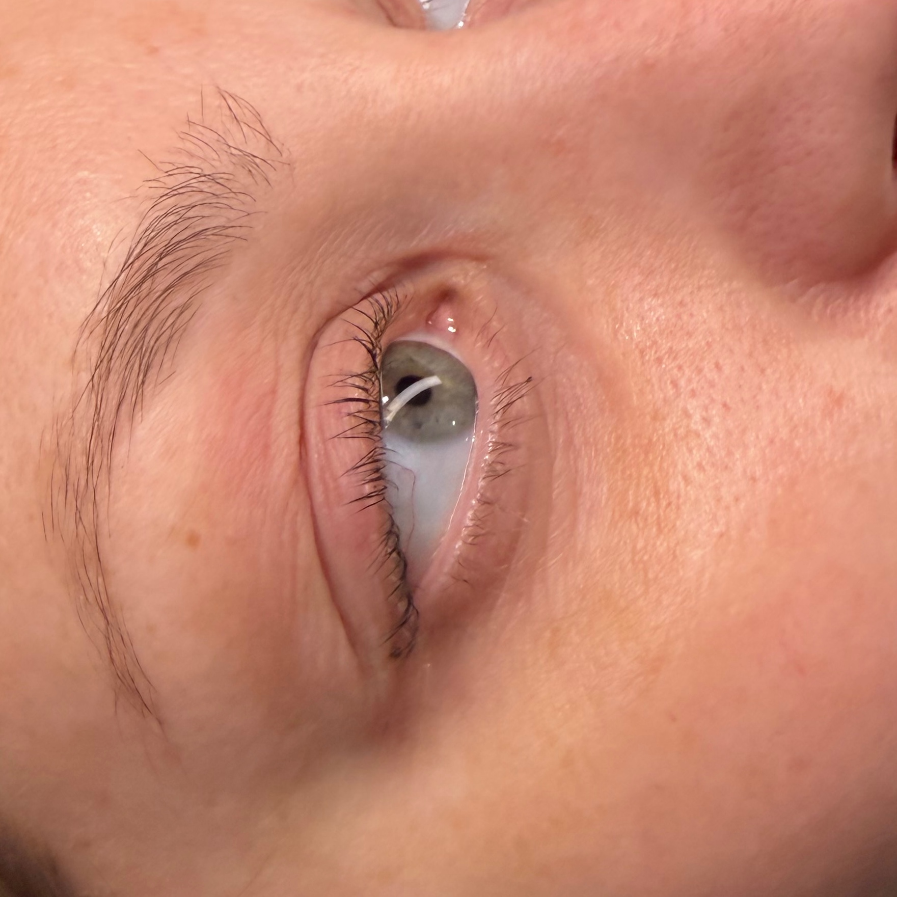 Lash Lift & Tint at Ameri-Cutz Salon in Lockport, IL