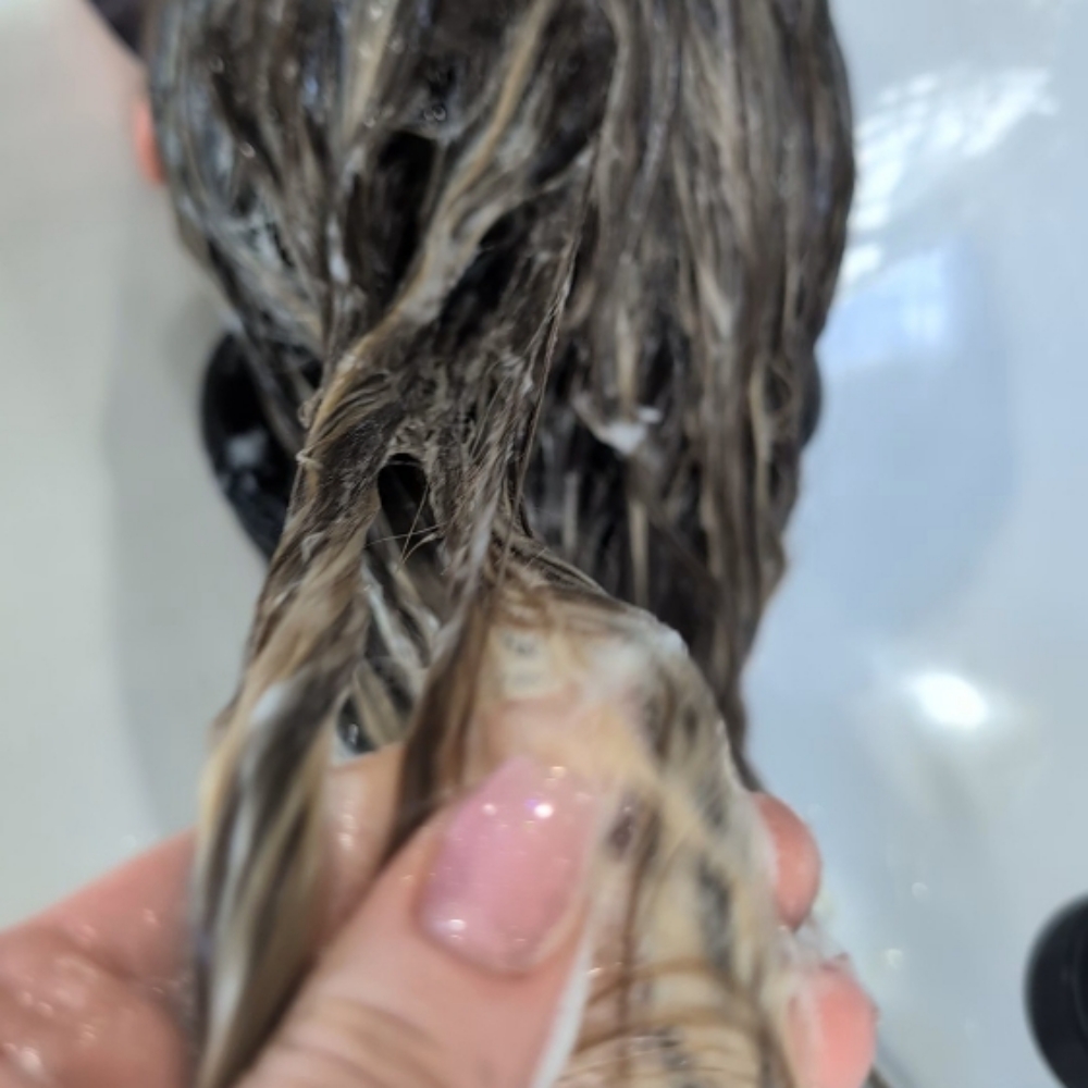 Transformation Cut at Hair Pro Holly in Roswell, GA