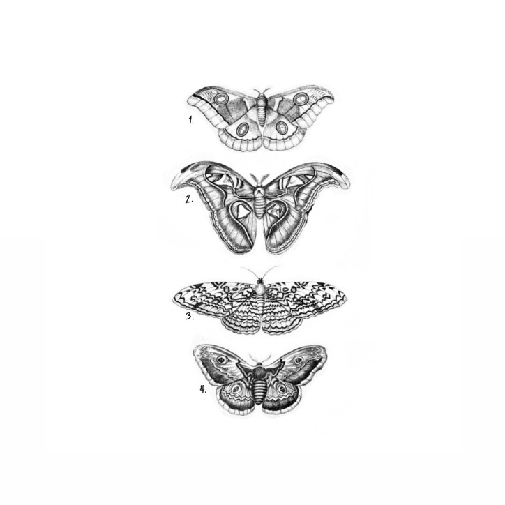 Repeatable Vintage Moths