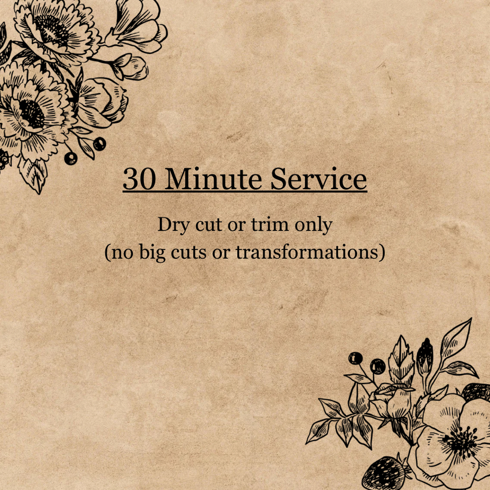 30 minute Service at Dahlia Salon + Spa in Evans, GA