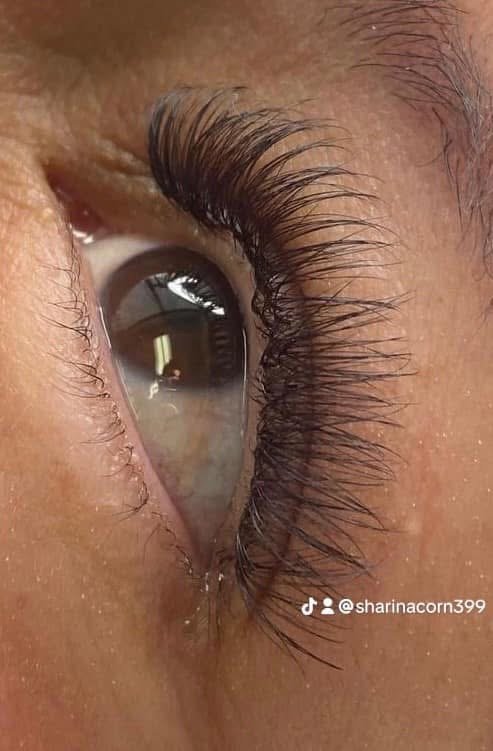 Mini Lash Fill at Sharina Ann in Page, AZ