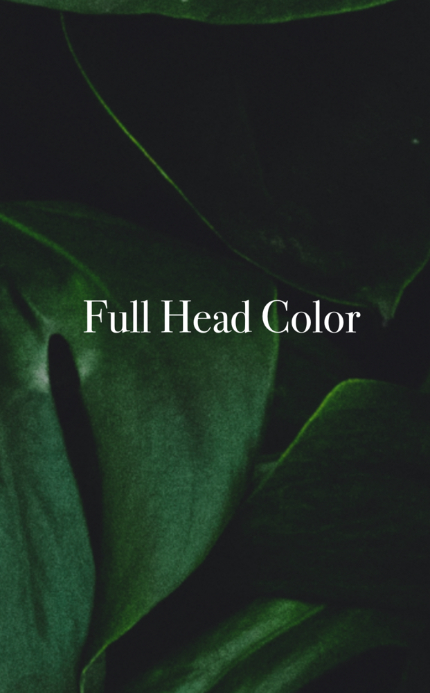 Full Head Single Process Color at Anestie Beauty Lounge in Franklin Square, NY