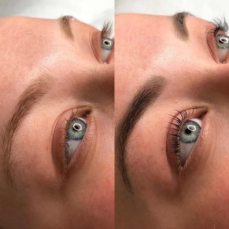 Lash Or Brow Tint