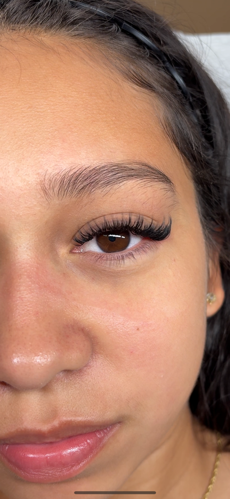 Signature Wispy Fill