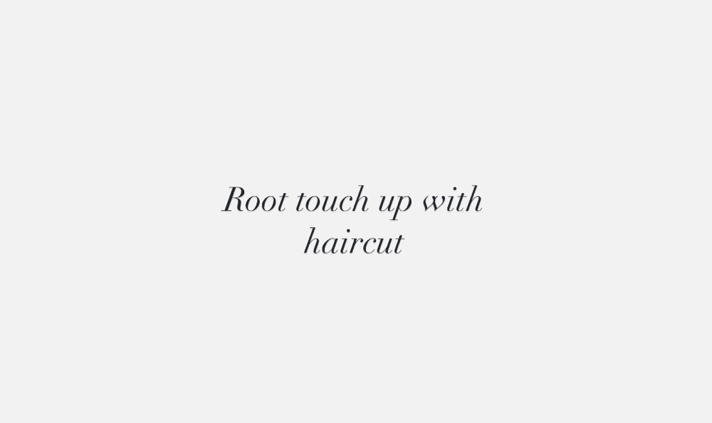 Root Touch Up With Haircut