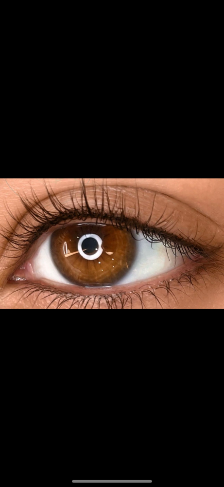 Lash Liner