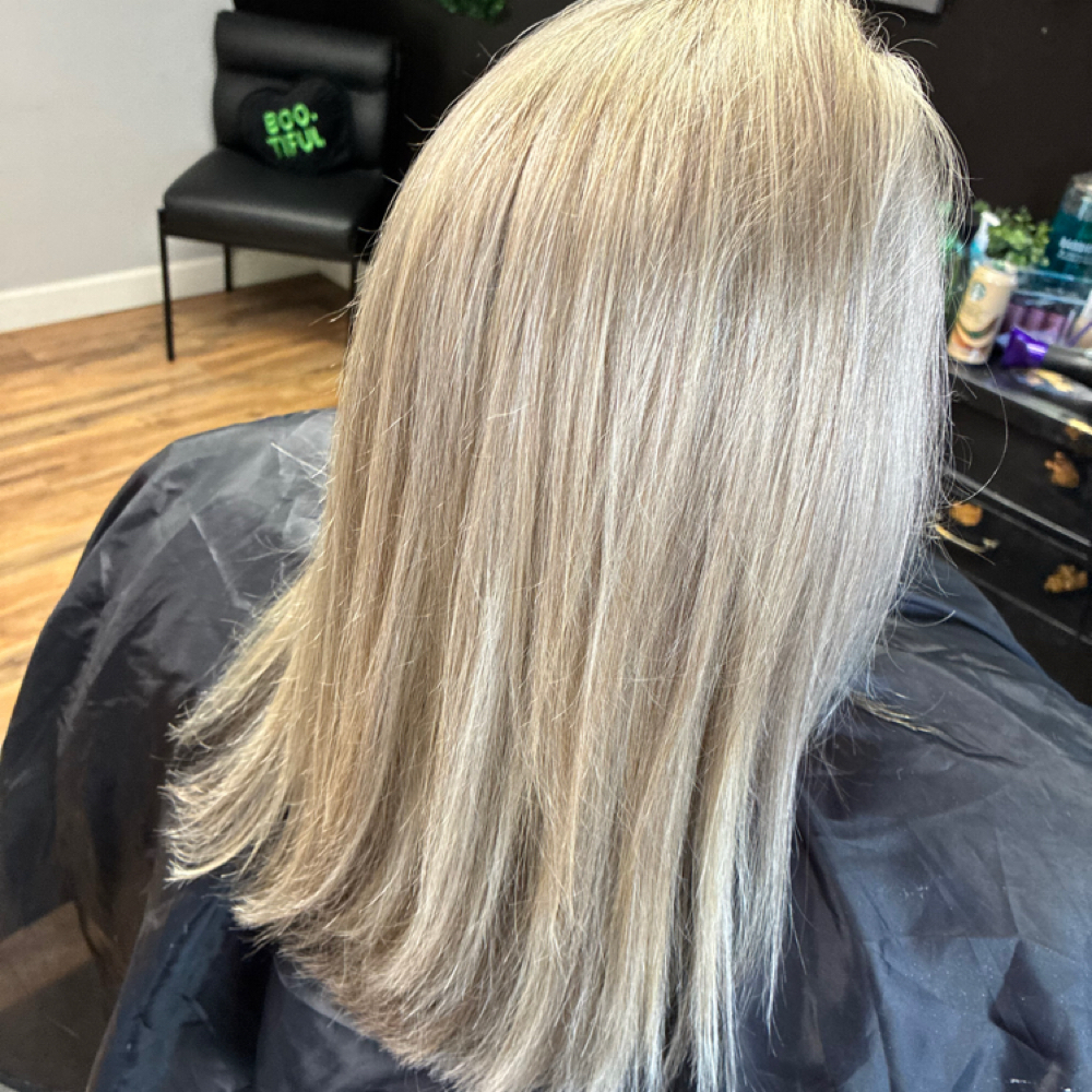 Grey Blending at SALON HALO in Johnson City, TN