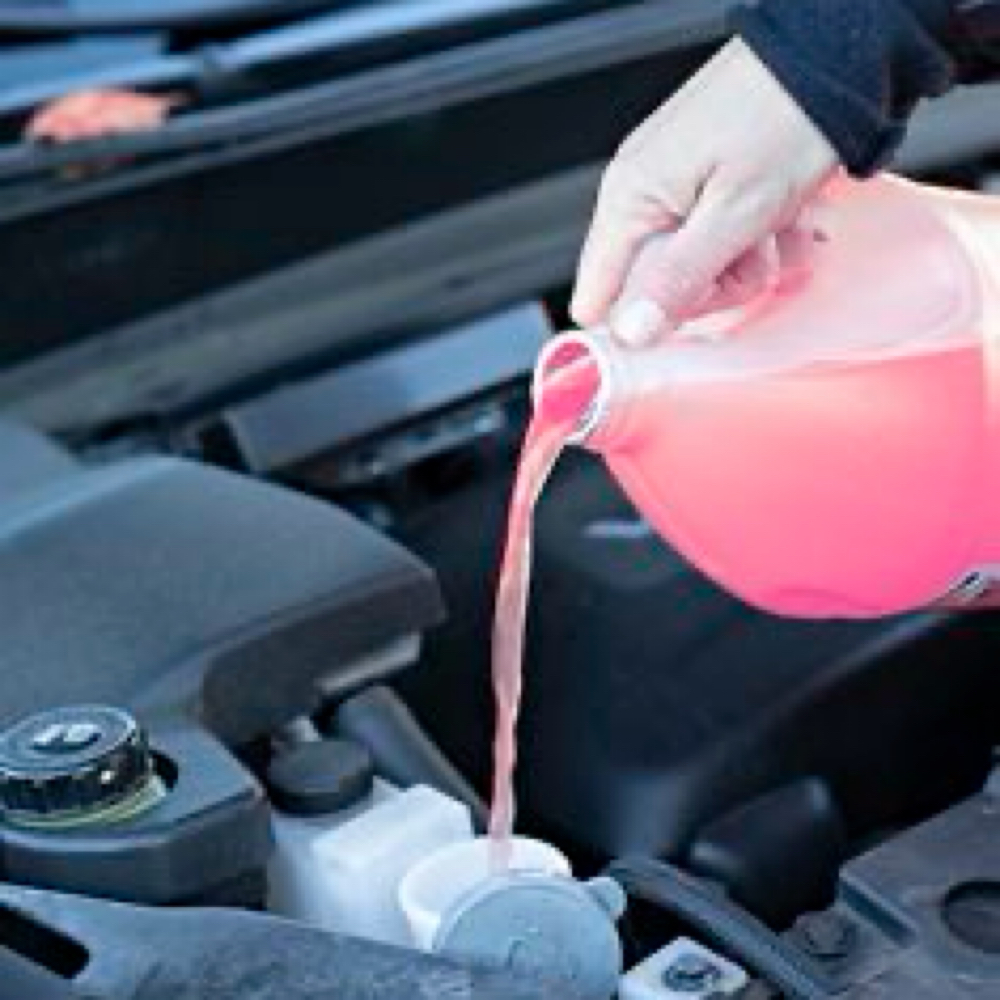 Windshield Washer Fluid at Mosaico in San Juan, PR