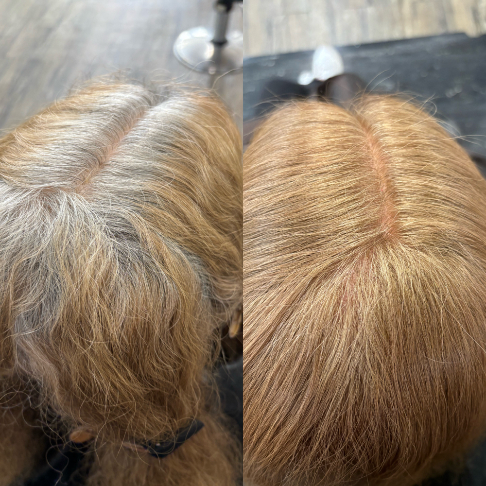 Root Touch Up (Color Only)