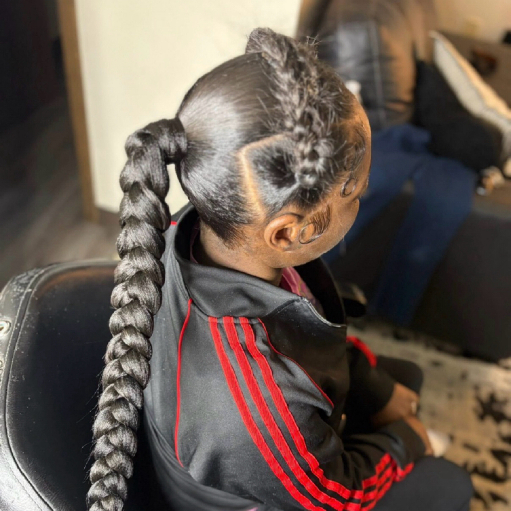 3d Butterfly Braid W/ponytail at Hands Of Beauty By Kevionna in Racine, WI