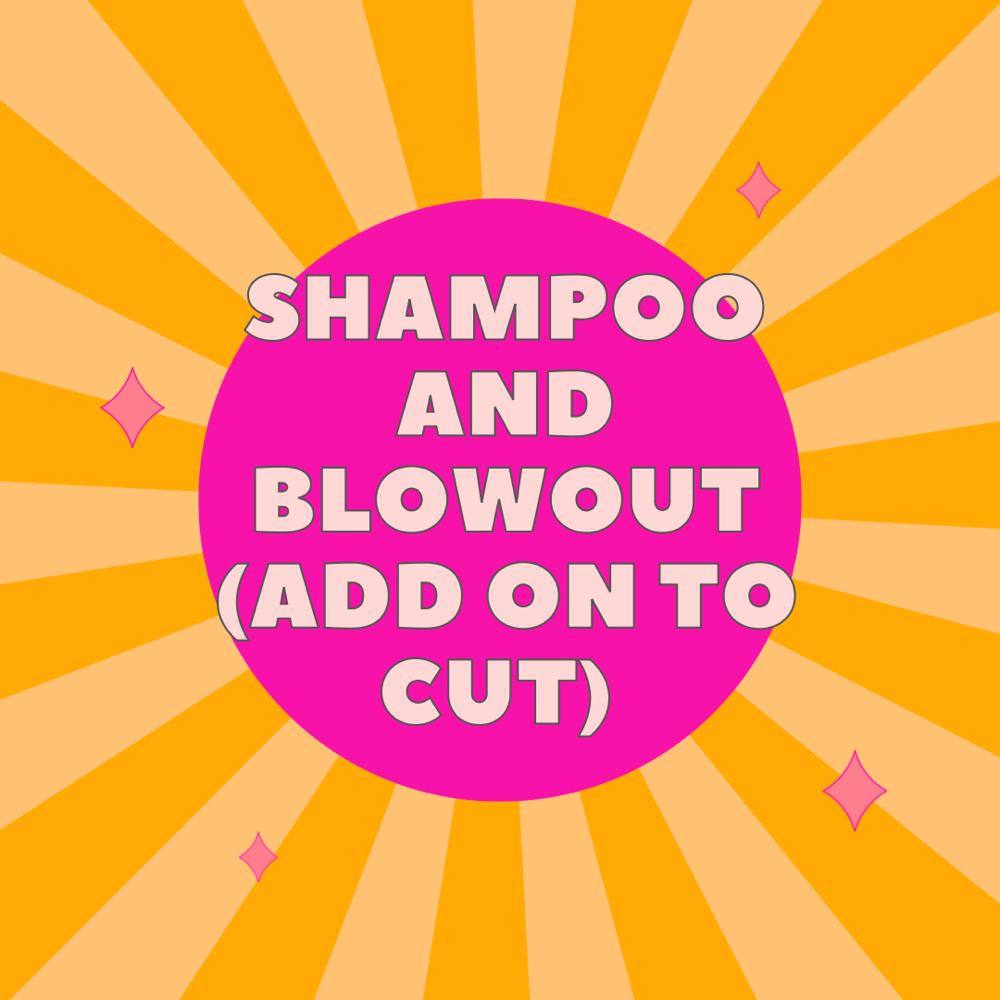 Shampoo + blowout (add on to cut)