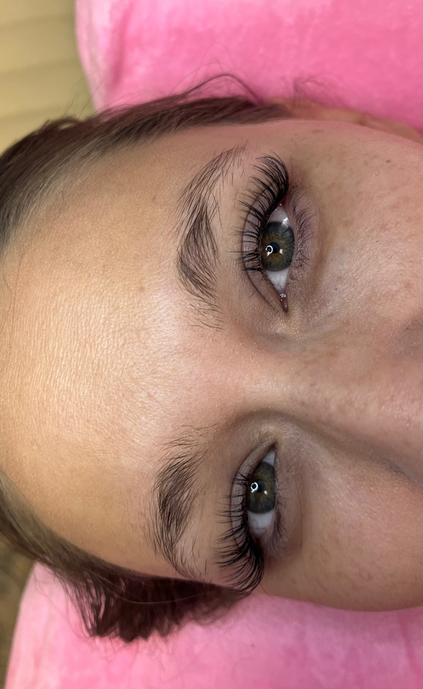 Classic Lashes