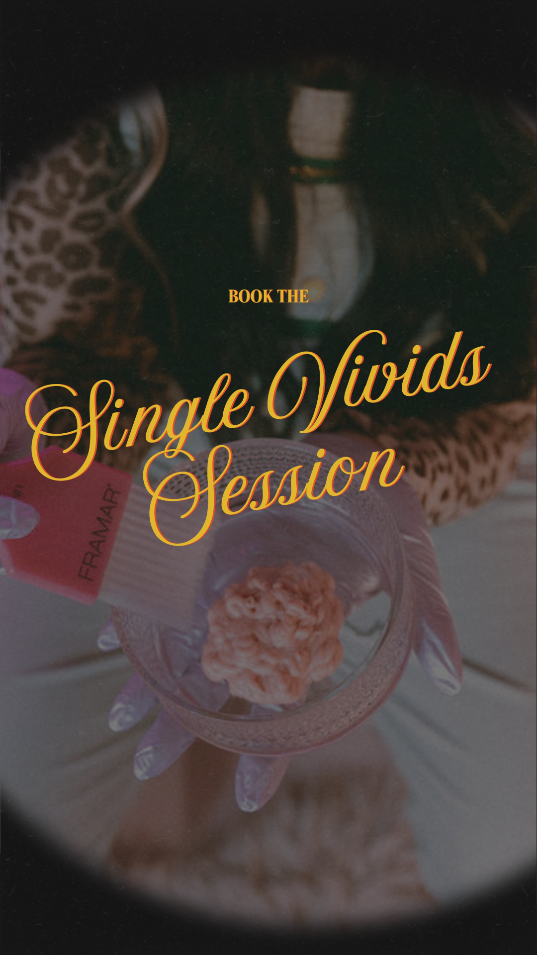 Single Vivids Session