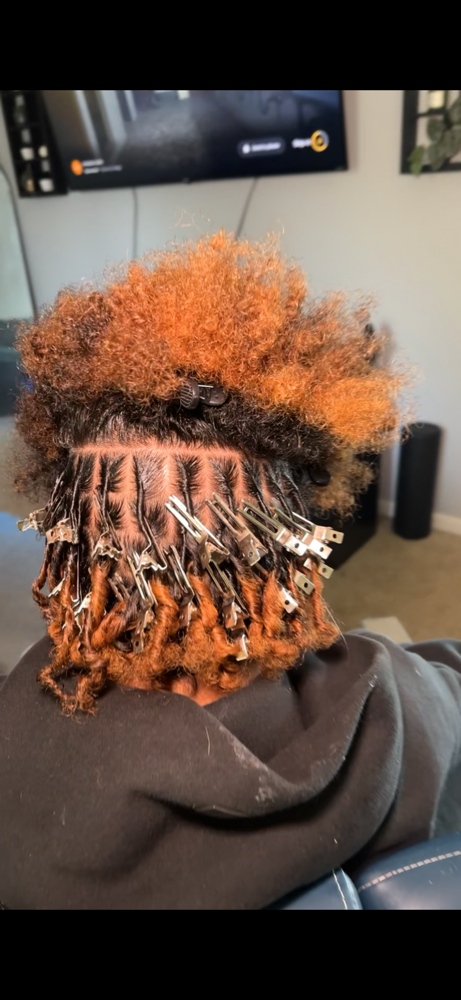 Starter locs at Estrebeautyy in Columbia, MO