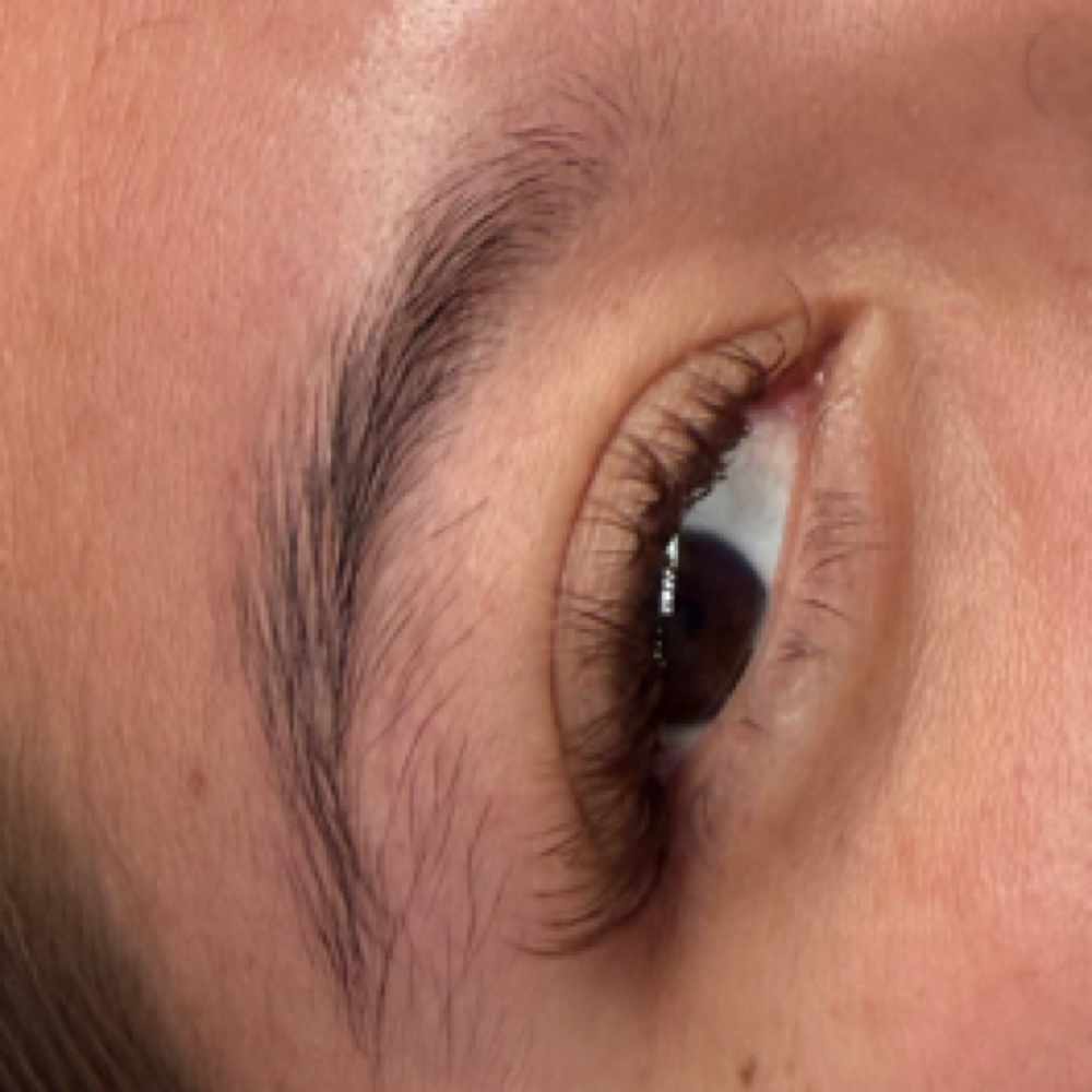 Brown Lash Set Special🤎 at Esti Bestie SD in Mission Valley, CA