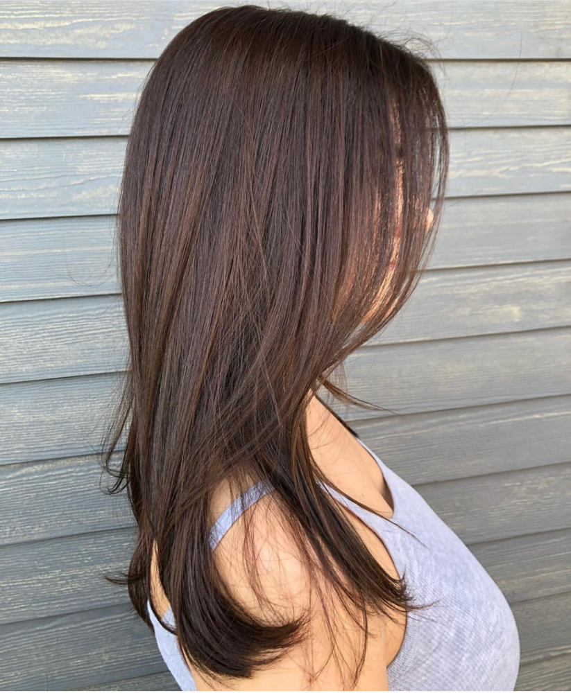 Single Color | Toner | Haircut