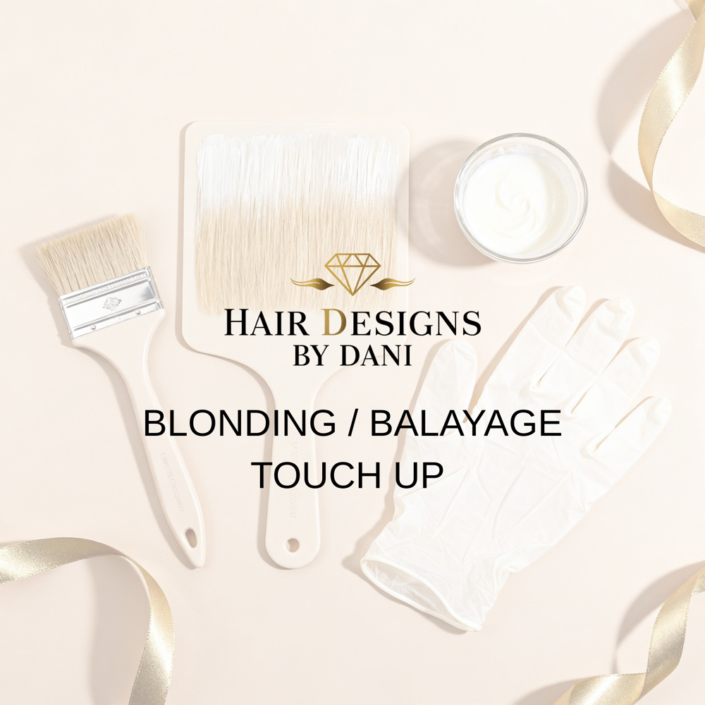 Blonding / Balayage Touch-Up at Hair Designs By Dani in Plainview, NY