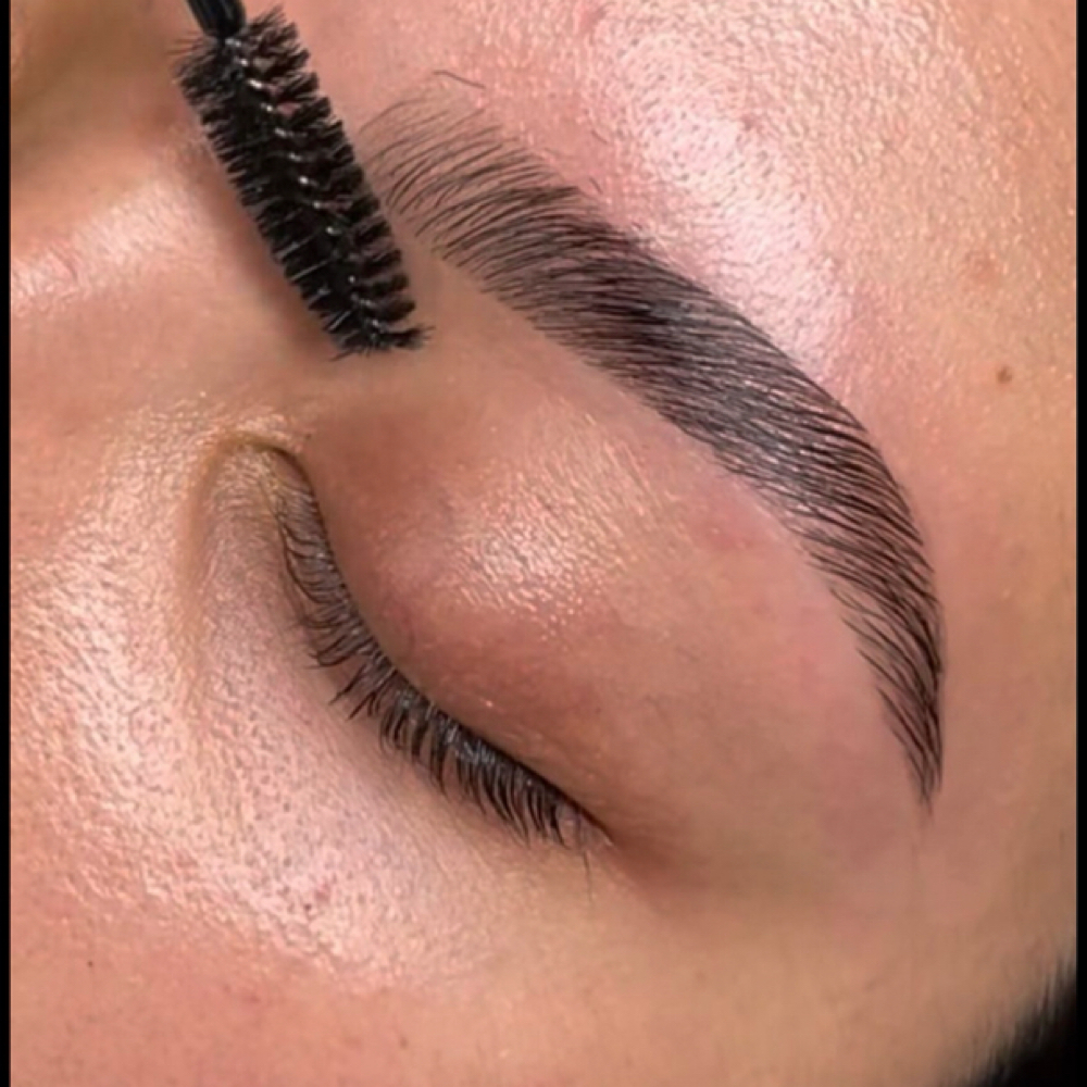 BROW LAMI at PINK PALACE BEAUTY in Port Saint Lucie, FL