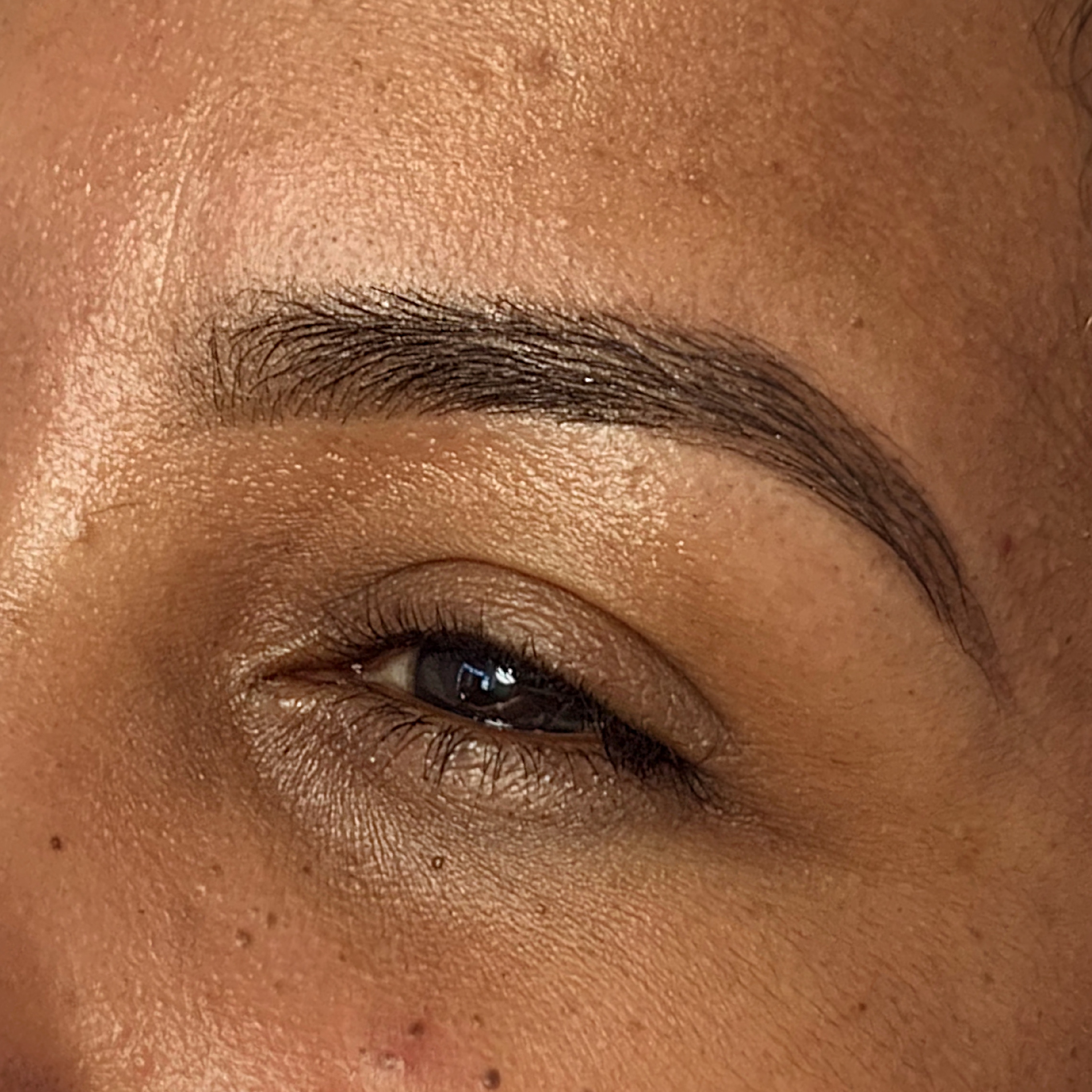 Brow & Lip Wax at Hales Brow Studio in Cape Coral, FL