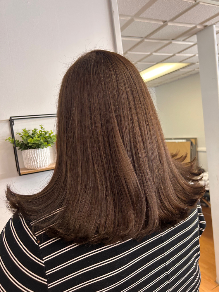 Root Touch Up