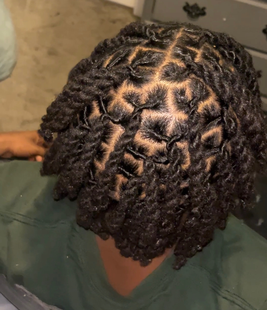 Loc Retwist