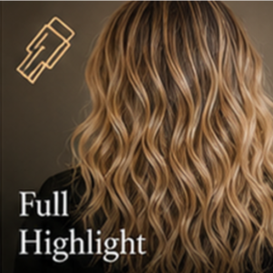 Full Highlight at The Style Studio by Syd in Parsippany, NJ
