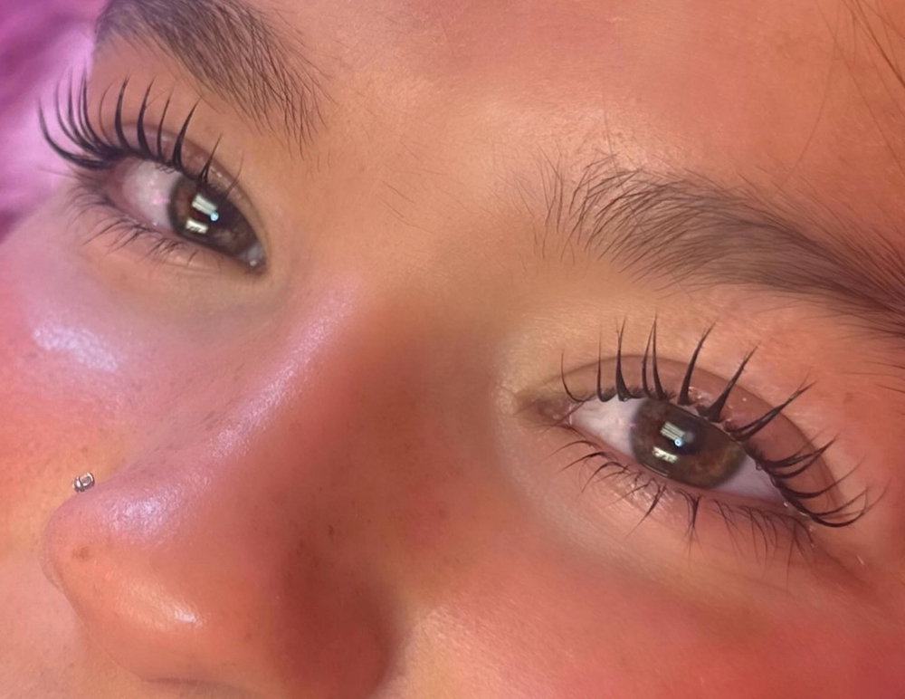 ๐๐๐๐ฉ ๐๐ ๐ฝ๐๐๐ฎ ๐