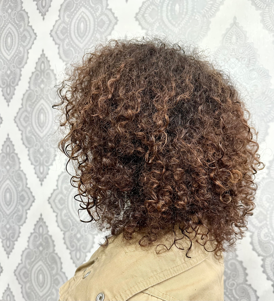 Curly Shampoo/Cut/Style