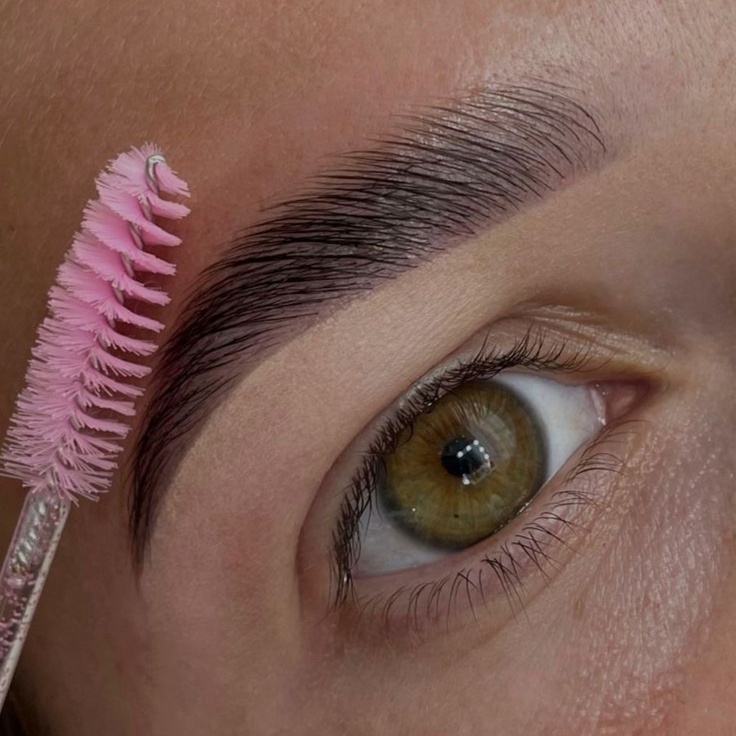 Eyebrow Lamination & Tint + wax at Rahil Beauty Esthetics in Canfield, OH