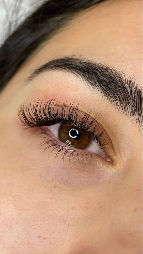 Classic Lash Fill 2 Weeks