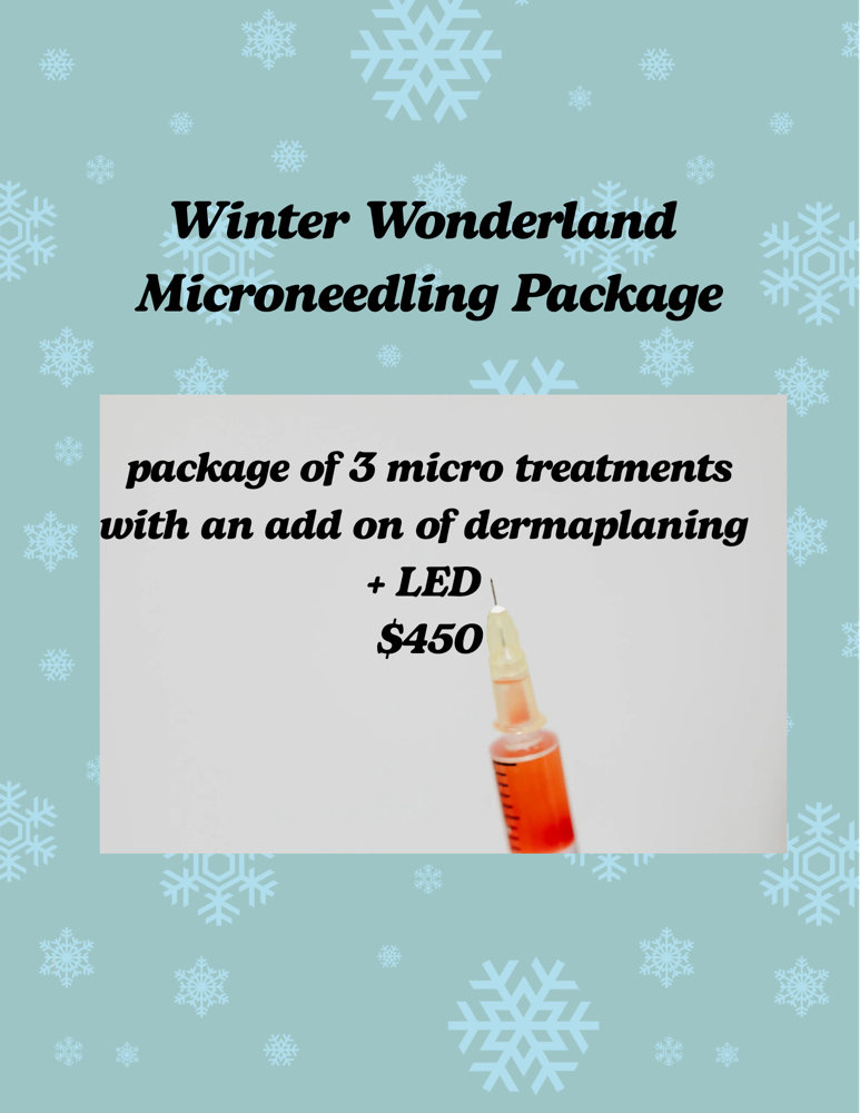 Winter Wonderland Micro Package