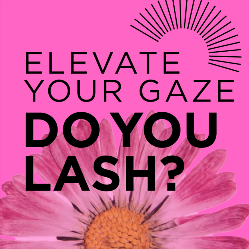 Brow + Lash Tinting at In The Pink in Prairie Village, KS