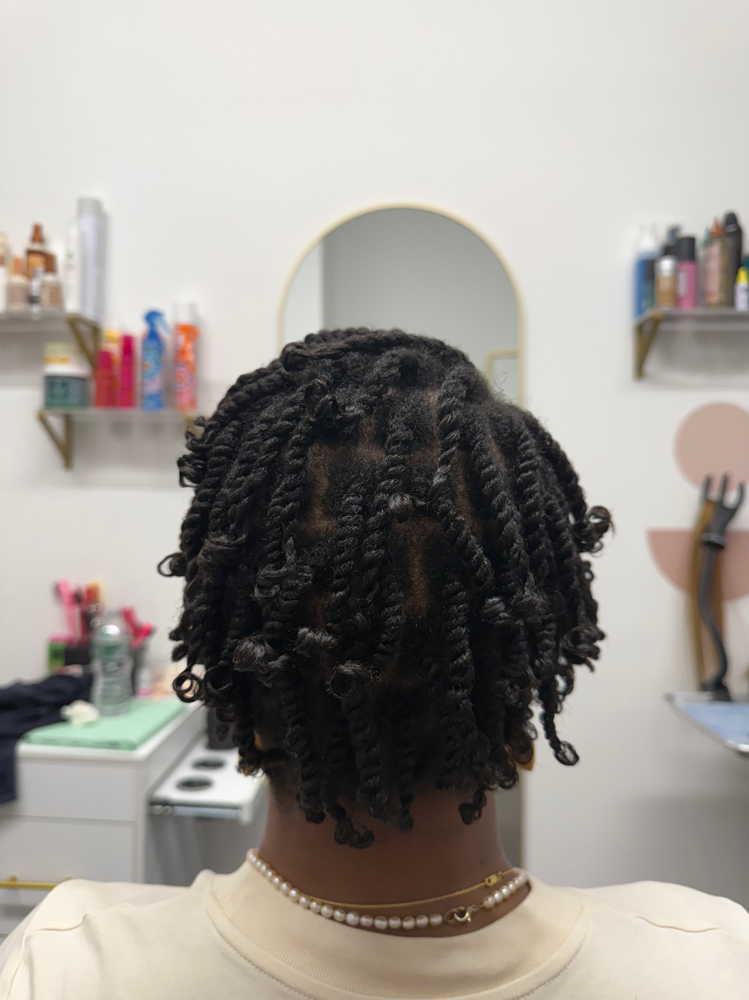 Mini-ish Twists at Empresstry by ChiDidThat in Brooklyn, NY
