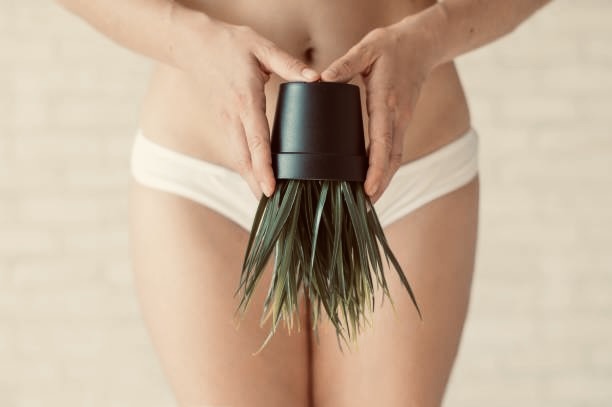 Bikini Wax at Aesthetics By Ashlyn Reff in Astor, FL