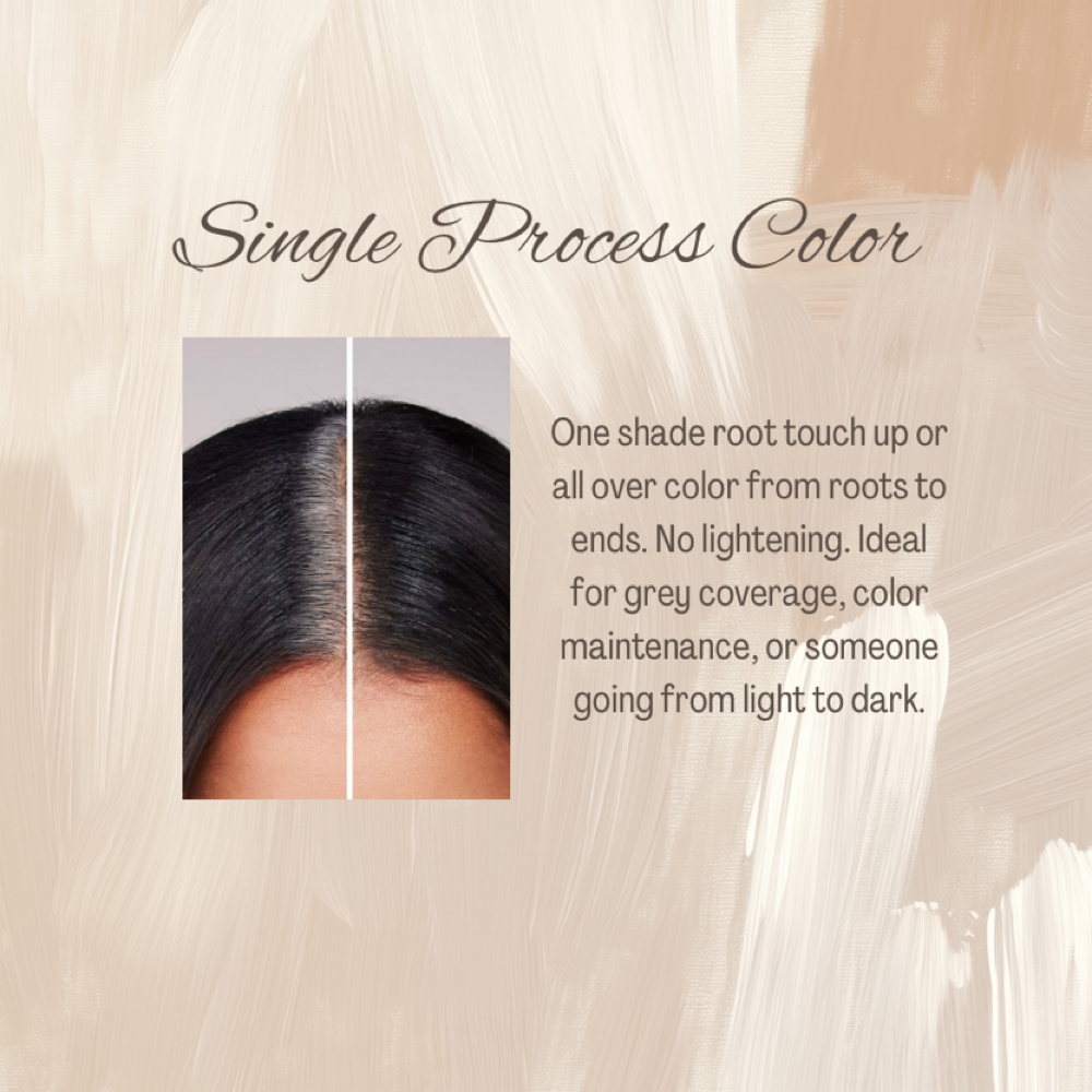 Single Process Color at Artisan Salon & Barber Studio in Lake Mary, FL