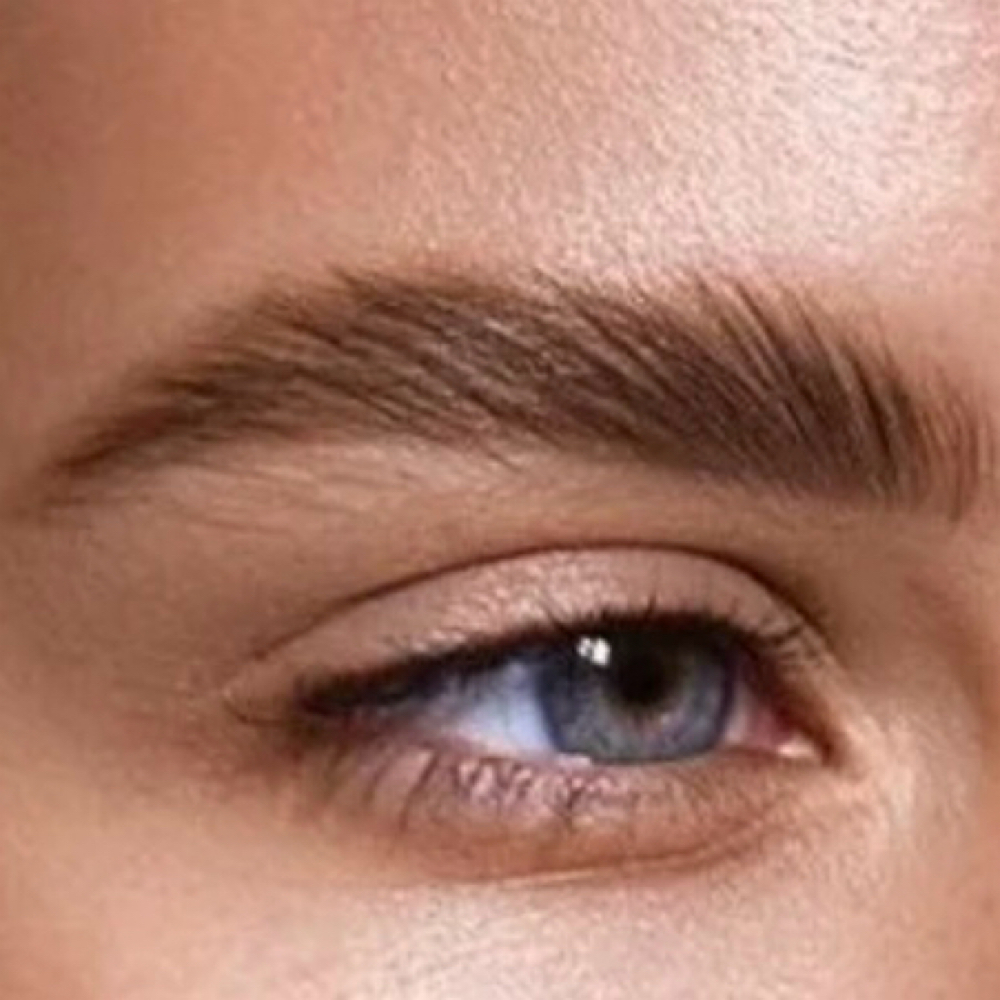 PMU Touch Up 12-24 moths at Susie Carranza Brows & Beauty in Sherman, TX