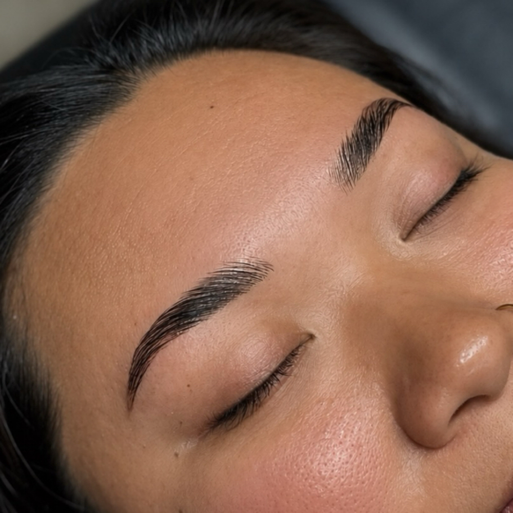 Signature Brow Lami at Modern Lash & Brow Co in Virginia Beach, VA