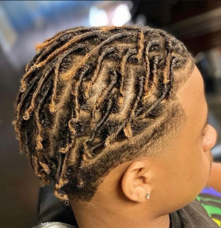 Starter Locs at TribeLoc 7.0 LLC in Naperville, IL
