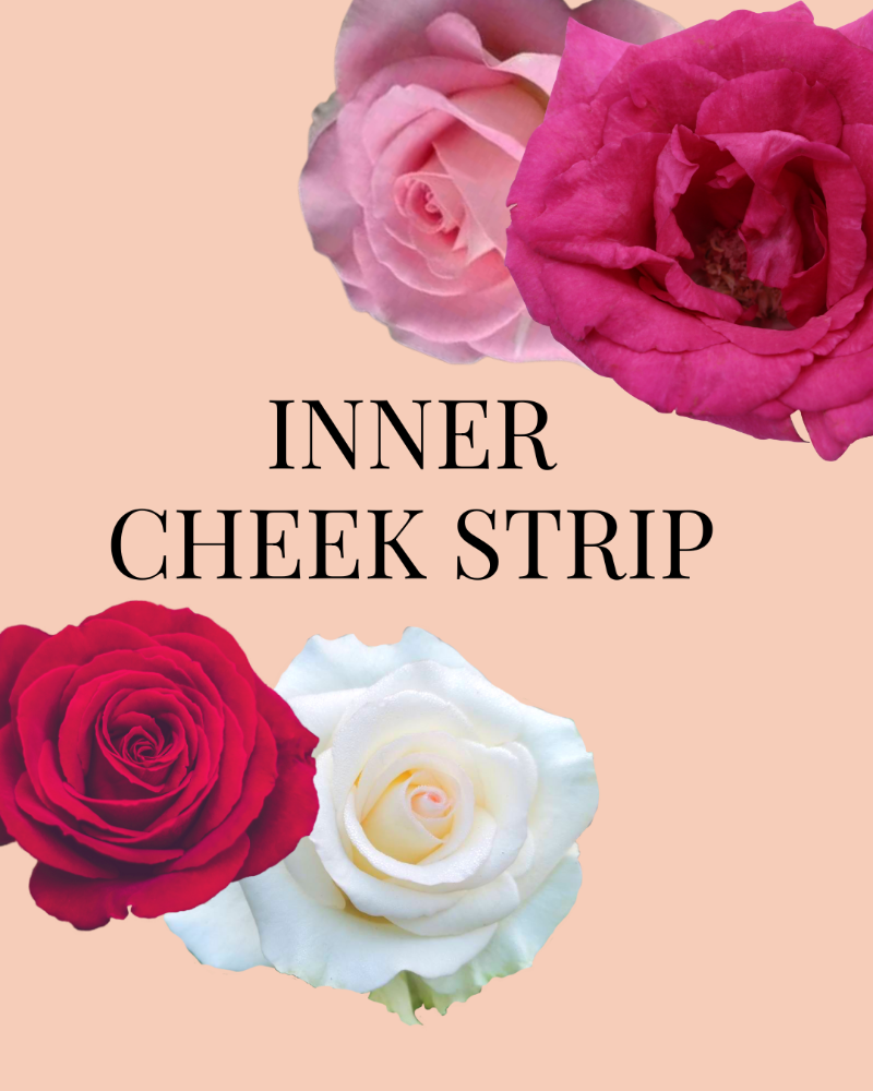 INNER CHEEK STRIP