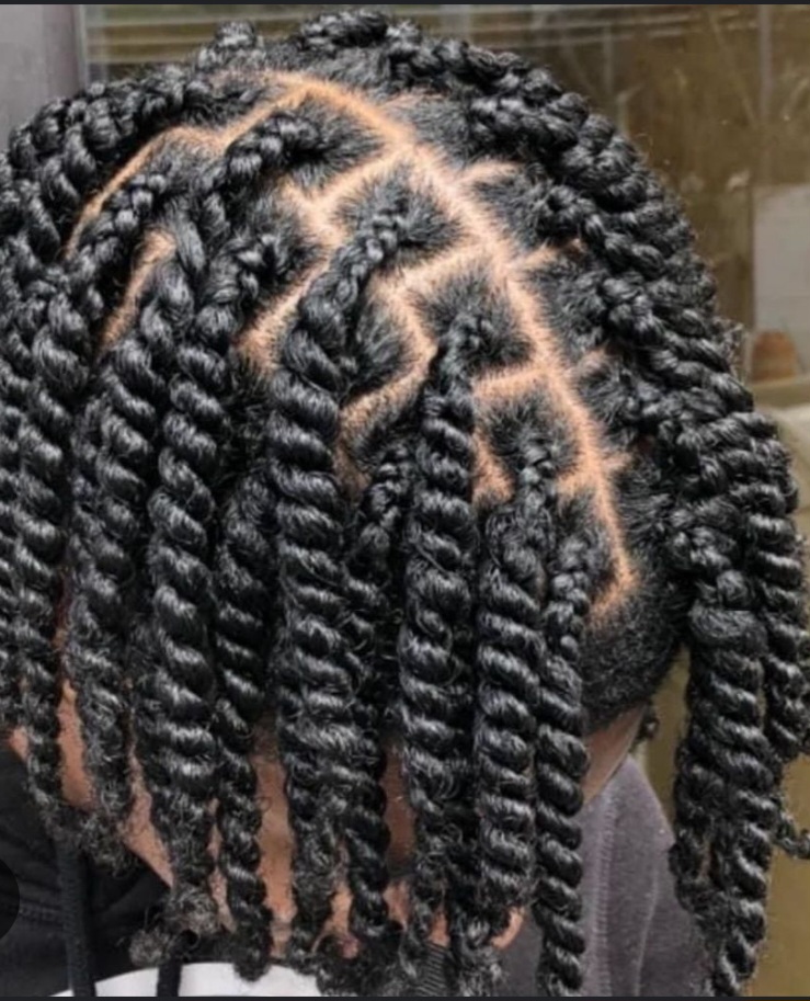 Two Strand Twists